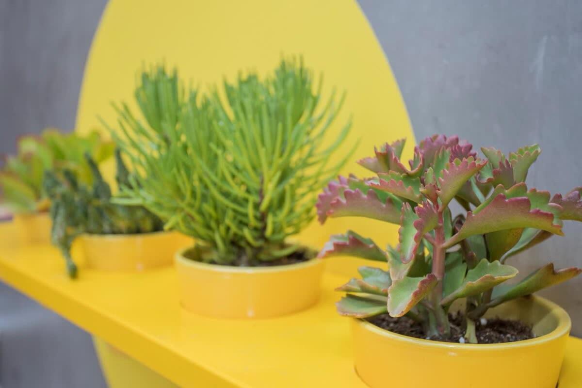 Liiiving In Porto - Clerigos Terrace Apartment Exterior photo